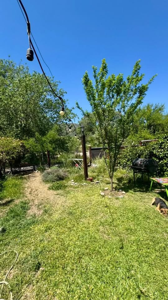 imgi_87_565784304_1117343460563853_7634122163168338666_n